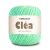 neon mint