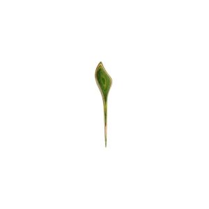 pasador para chal flora knitpro – el broche de madera perfecto