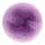 558 shrinking violet